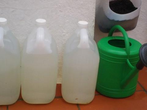 Preparam-se os recipientes que serão colocados no suporte da horta vertical. Estes recipientes forma feitos reutilizando garrafões de detergentes utilizados na cozinha do Caie.